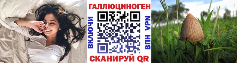 Галлюциногенные грибы Psilocybine cubensis  Слободской 