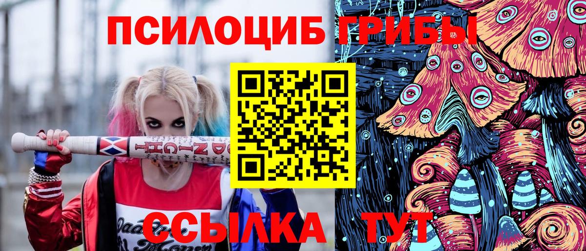 Галлюциногенные грибы GOLDEN TEACHER Слободской
