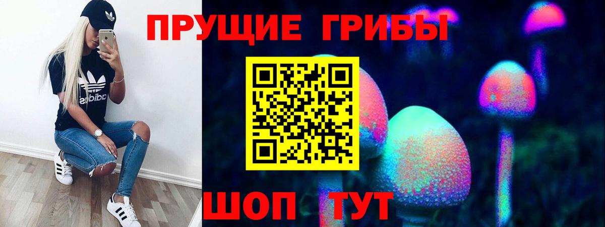 Галлюциногенные грибы мицелий  Вход с VPN  Галлюциногенные грибы мухоморы  Слободской 